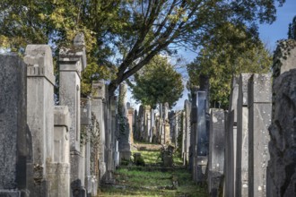 Old gravestones at the Israeli cemetery, inaugurated in 1882, Werner-von Siemens Str. 2, Würzburg,