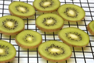 Kiwi slices laid out on a wire rack to dry, Actinidia deliciosa