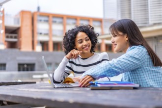 Side view of two multiracial woman studying together using laptop in the university campus