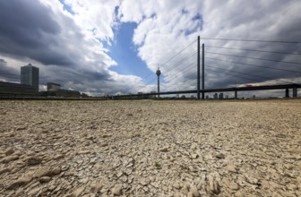 Düsseldorf, North Rhine-Westphalia, Germany, Dry riverbed in the Rhine in front of the
