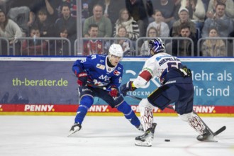 DEL, German Ice Hockey League season 2024/25, Matchday 52: Adler Mannheim vs Eisbären