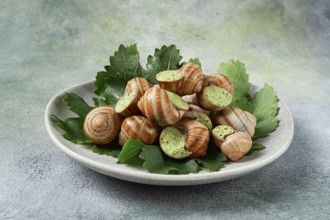 Grape snails, stuffed in burgundy, french cuisine