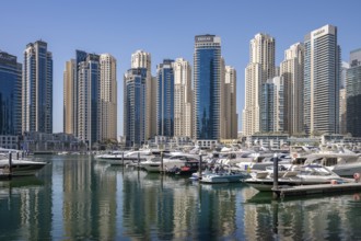Dubai Marina, neighbourhood in the south of Dubai, United Arab Emirates, Asia