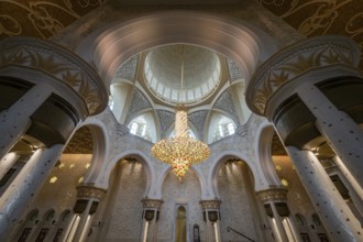 Prayer hall with chandelier in the Sheikh Zayed Mosque, Sheikh Zayed Mosque, Abu Dhabi, United Arab