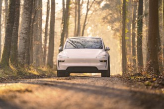 White electric car driving on a tree-lined forest path in soft sunlight, Tesla New Model Y,