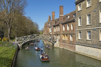 Punting, punting, Mathematical Bridge, Queens' College, River Cam, Cambridge, England, Great