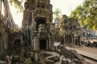 Ta Prohm, Angkor Wat, Angkor, UNESCO World Heritage Site, Siem Reap, Cambodia, Indochina, Southeast