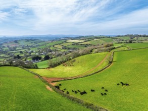 Farms and Fields over Torquay from a drone, Devon, England, United Kingdom, Europe