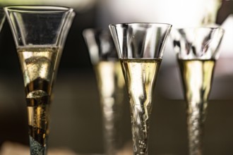 Close-up of filled champagne glasses or champagne flutes against the light