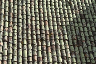 Close-up view of terracotta roof tiles showcasing unique textures and colors. The surface exhibits