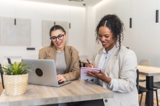 Two smiling businesswomen collaborating on a project, using a laptop and taking notes in a modern