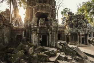 Ta Prohm, Angkor Wat, Angkor, UNESCO World Heritage Site, Siem Reap, Cambodia, Indochina, Southeast