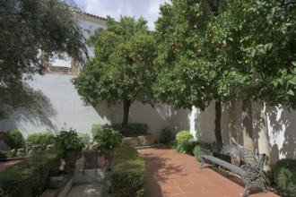 Courtyard, Orange tree (Citrus × sinensis), Museum, Casa del Gigante, Ronda, Malaga, Spain, Europe