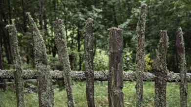 Old wooden fence overgrown with moss, near Kvam, Gudbrandsdalen, Norway, Europe
