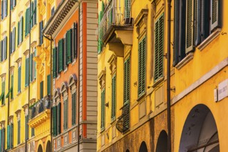 Pastel-coloured house facades with green shutters in the old town of Pisa, Pisa, Tuscany, Italy,