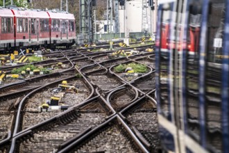 Railway line between Cologne Central Station and Cologne-Hansaring Station, track system, North