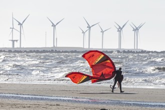 Kitesurfer carrying his kite, wind turbines, beach, sea, Hoek van Holland, Rotterdam, Netherlands
