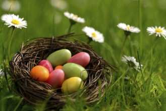Sugar eggs in an Easter nest in the meadow with daisies