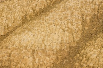 Dry cracked earth texture creates a dramatic pattern, highlighting the impact of severe drought and