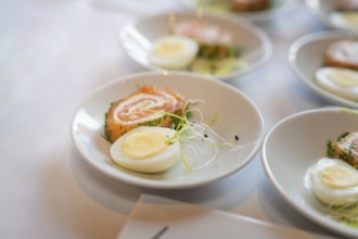 A plate of smoked salmon and half an egg, arranged as an elegant starter, Europäischer Hof,