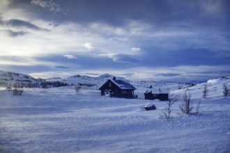 Snowy landscape with a house and mountains on the horizon under a calm sky, Norway, Europe