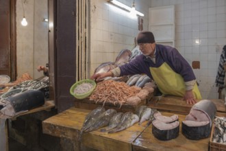 Seafood for sale at a traditional Moroccan market, Medina Fes, Morocco, Africa