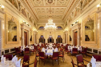 Albrechtsberg Palace, Crown Hall