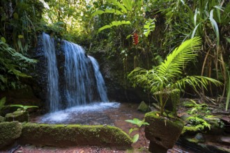Park with waterfall, tropical, tropics, travel, holiday, Paronella Park, Innisfail, Queensland,