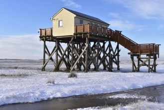 Pile dwellings in St. Peter-Ording, Schleswig-Holstein, Germany, Europe