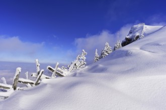 Winter landscape, Rigi Staffel, Canton Schwyz, Switzerland, Europe