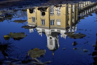 Karlsruhe Castle reflected in a puddle in autumn, Karlsruhe, Baden-Württemberg, Germany, Europe