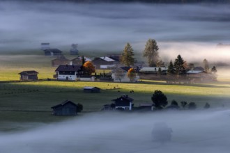 Morning atmosphere, fog near Oberstdorf, Oberallgäu, Bavaria, Germany, Europe