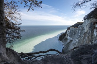 Möns Klint cliff, Baltic Sea island of Mön, Denmark, Europe