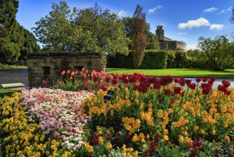 Flowerbed, spring in the Botanical Garden, sunny weather, Dublin, Ireland, Europe