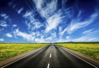 Travel concept background, road in blooming spring meadow