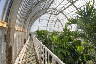 Palm House, oldest Victorian greenhouse in the world, Royal Botanic Gardens, Kew, London, England,
