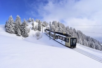 Cogwheel railway travelling through snow-covered forest, Rigi Kulm, Canton Schwyz, Switzerland,