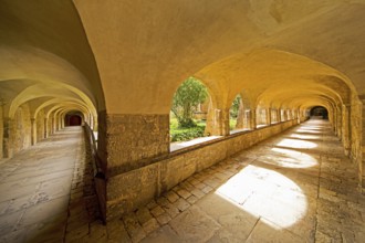 Cloister with view through the cemetery to the Thousand Year Rosebush, Mariendom, Hildesheim, Lower