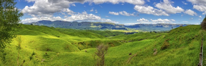 Green hills, Landscape, New Zealand, Oceania