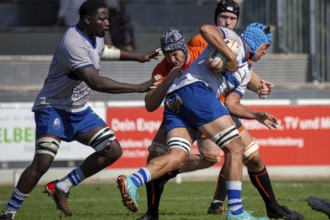 07.09.2024, Rugby 1st Bundesliga South/West, Season 2024/25, Matchday 1: RG Heidelberg vs TSV