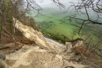 The famous chalk cliffs on the Baltic Sea coast in Jasmund National Park, Ruegen Island,