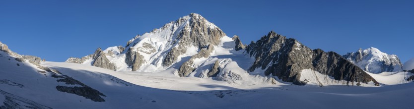 High alpine mountain landscape, summit of the Aiguille de Chardonnet and Glacier du Tour, glaciers