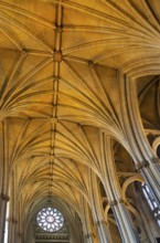 Vaulted roof ceiling inside Bristol cathedral church, Bristol, England, UK