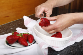 Swabian cuisine, preparation of filled pancakes, Flädle with strawberry jam and icing sugar, Gsälz,
