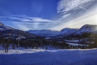 Snow-covered mountains and forests in the sunlight, Norway, Europe