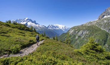 Mountaineer on hiking trail, mountain panorama with glaciated mountain peaks, Aiguille Verte with