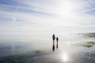 Woman with child walking through the mudflats, Wyk, Föhr, North Frisia, Schleswig-Holstein,