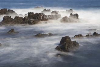 Atlantic coast near Puerto de la Cruz, Tenerife, Canary Islands, Spain, Europe
