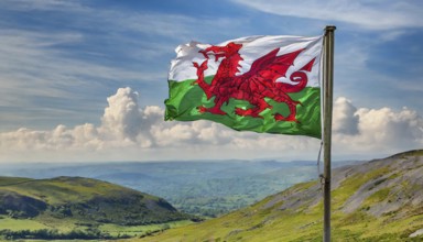 The flag of Wales, Great Britain, flutters in the wind
