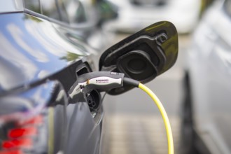 Electric cars at charging stations, Dresden, Saxony, Germany, Europe